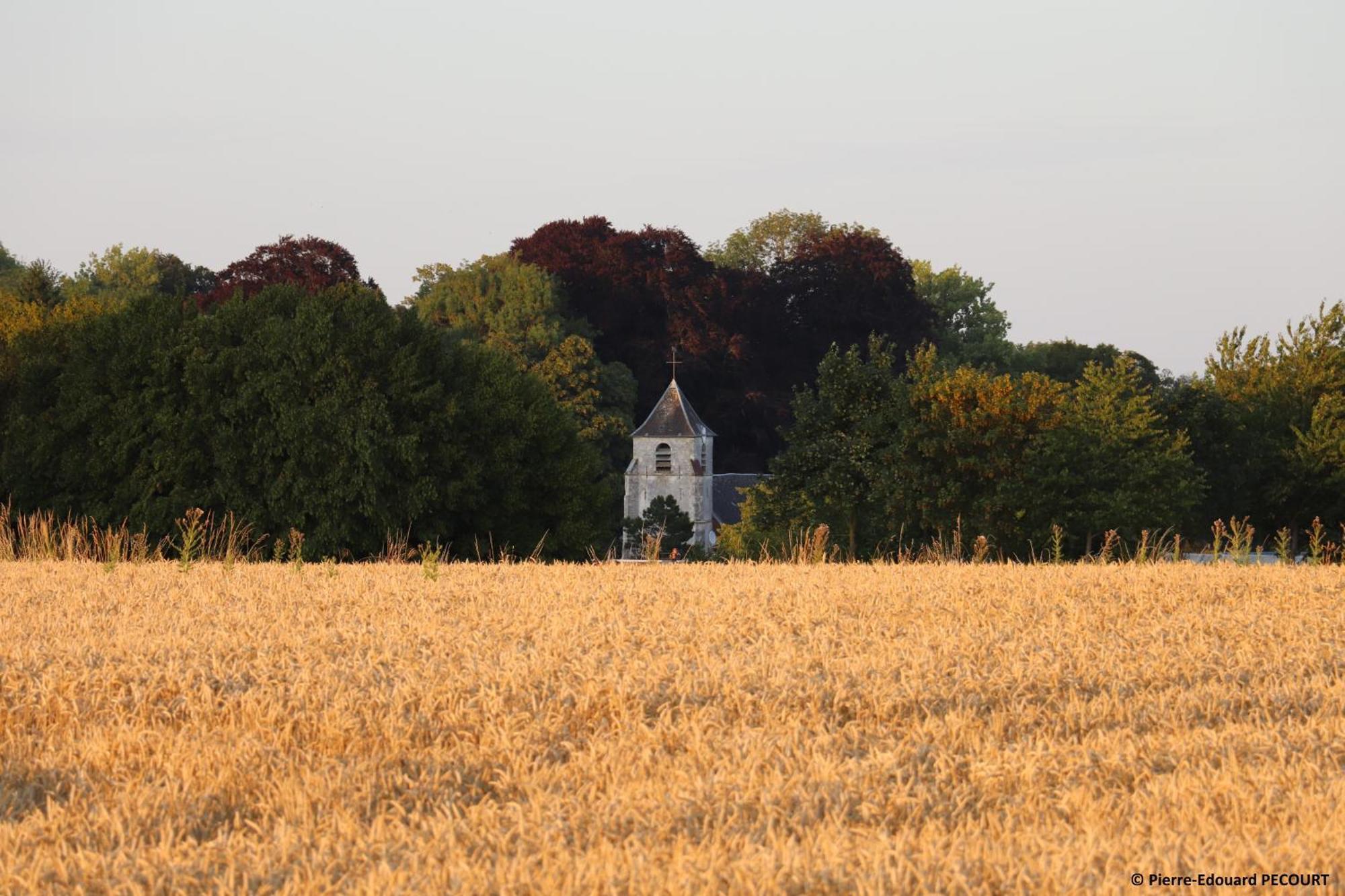 Вілла La Grange Aux Tommies - Pays Du Coquelicot Bus-les-Artois Екстер'єр фото